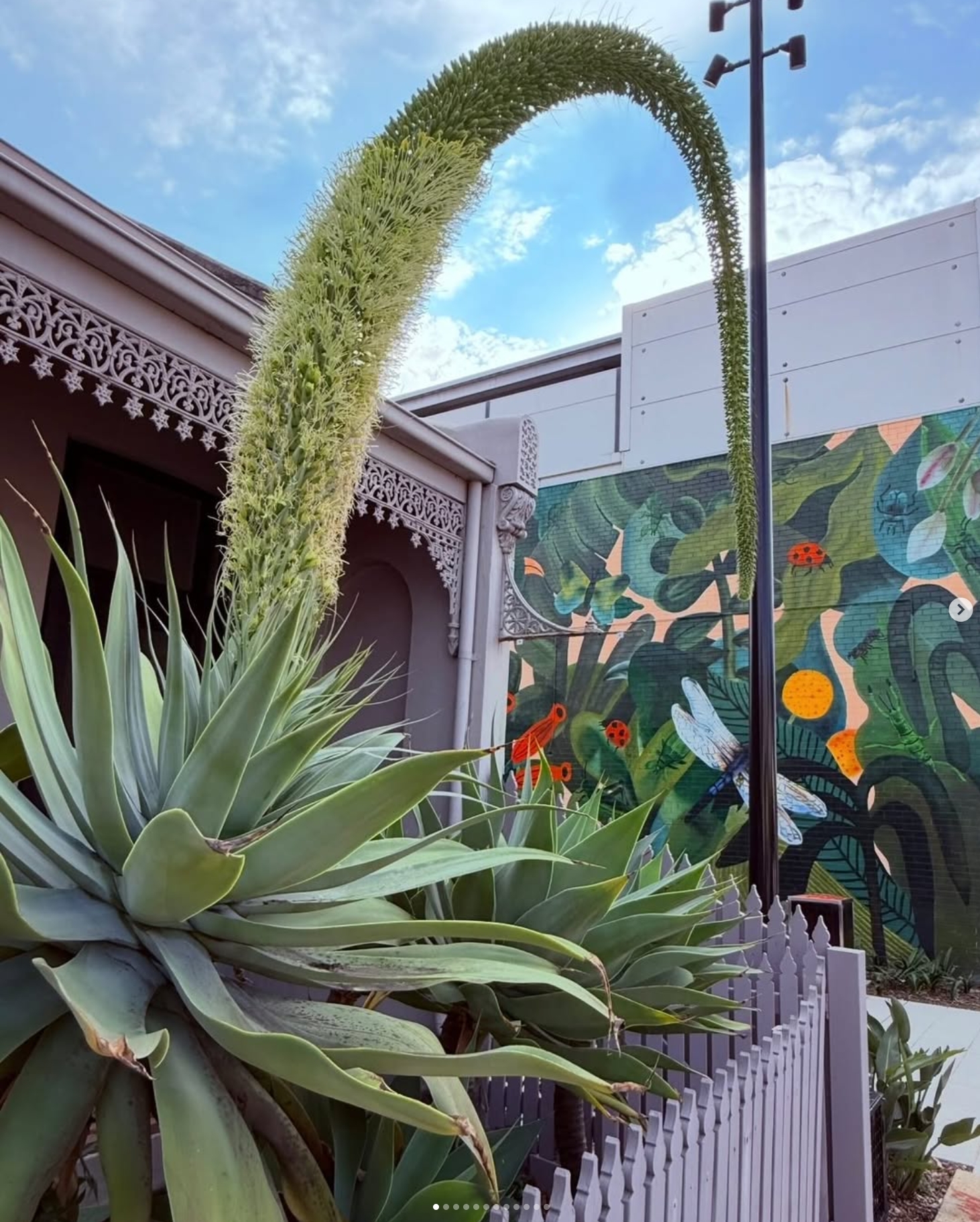 Colourful street art mural near Chapel Street in South Yarra